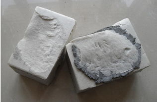 膠粉及酚醛樹脂的市場概況與河北地區報價分析